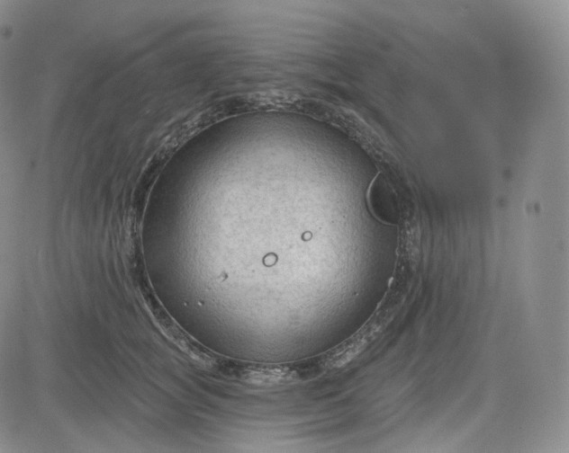 X0000083610757200702260927