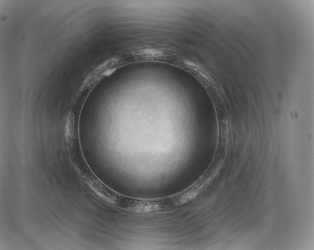 X0000083610760200702260927