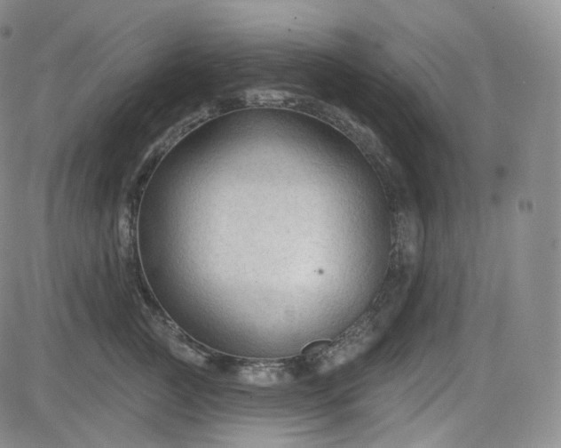 X0000083610761200702260927