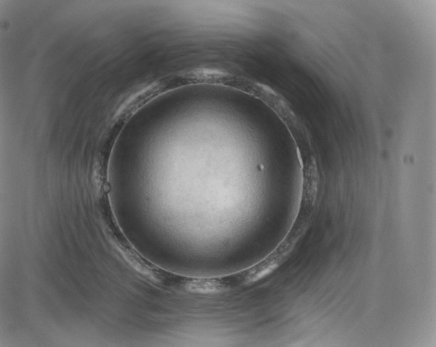 X0000083610762200702260928