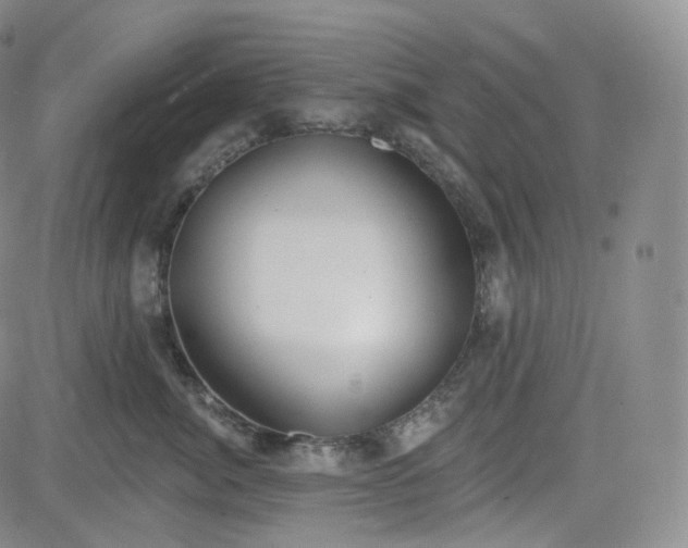 X0000083610764200702260928