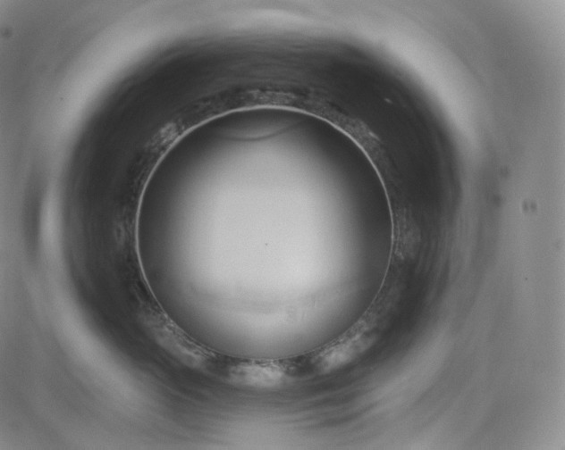 X0000083610765200702260928