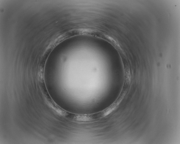 X0000083610766200702260928