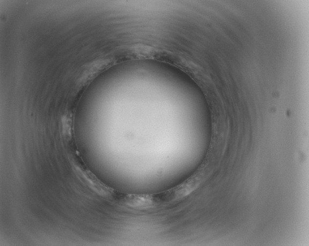 X0000083610768200702260928