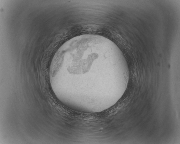 X0000083610769200702260927