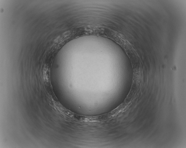 X0000083610770200702260927