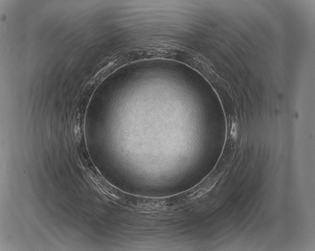 X0000083610771200702260927