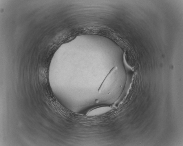 X0000083610772200702260927