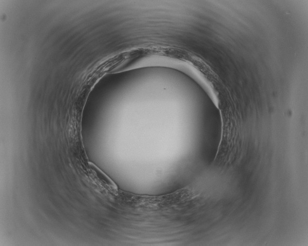 X0000083610773200702260927