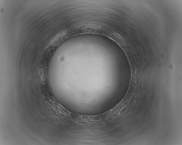 X0000083610774200702260927