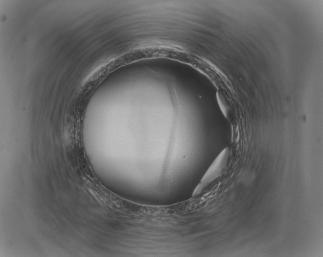 X0000083610775200702260927