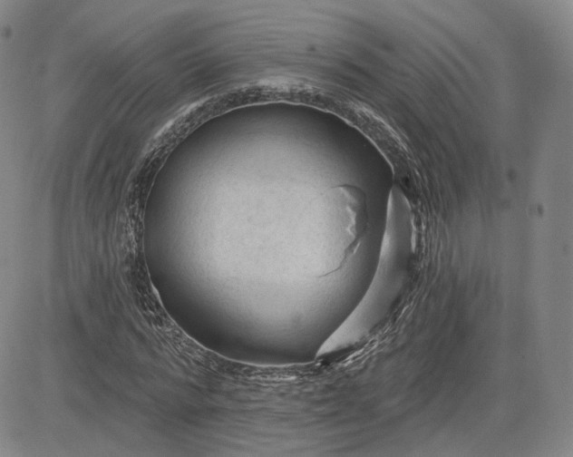 X0000083610776200702260927