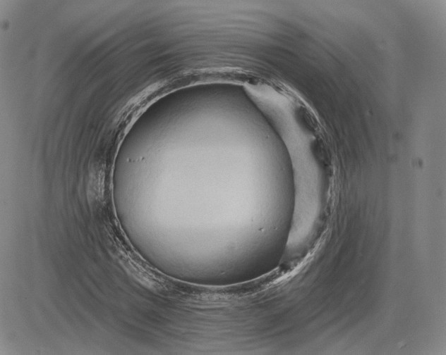 X0000083610777200702260927