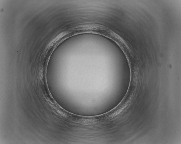 X0000083610778200702260927