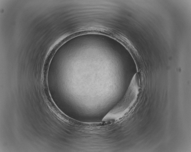 X0000083610780200702260927