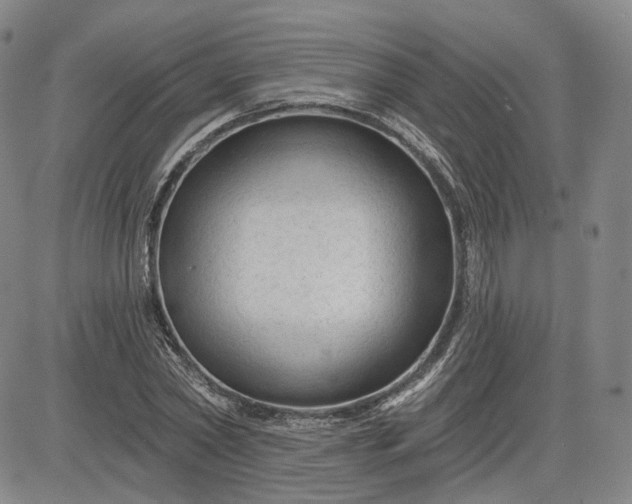 X0000083610782200702260927