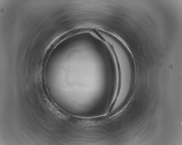 X0000083610783200702260927