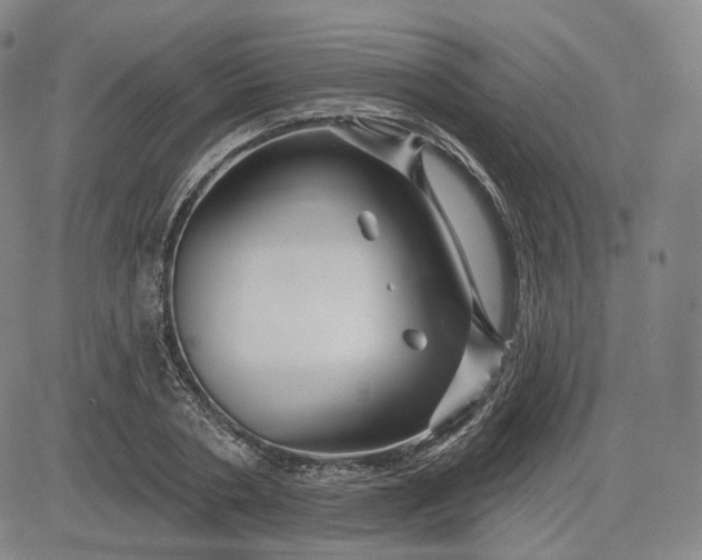 X0000083610786200702260927