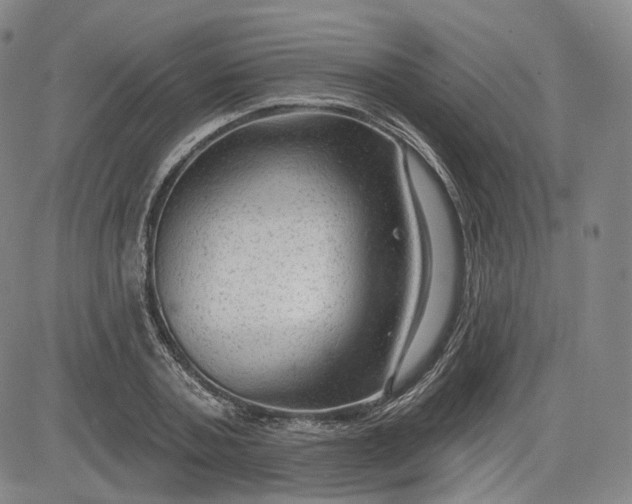 X0000083610787200702260927