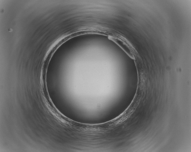 X0000083610788200702260927