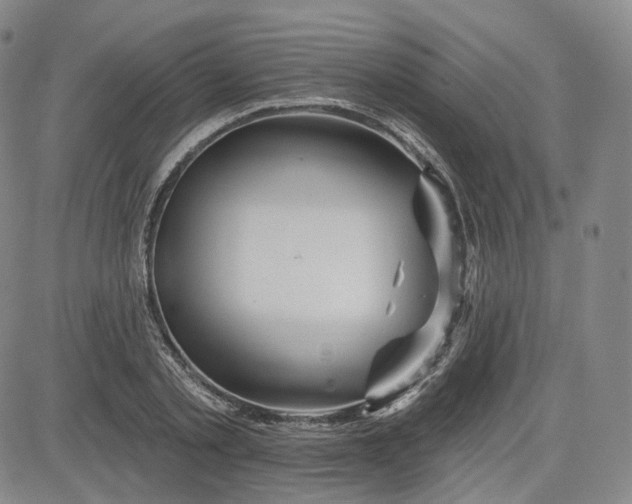 X0000083610789200702260926