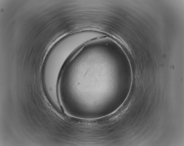 X0000083610790200702260926