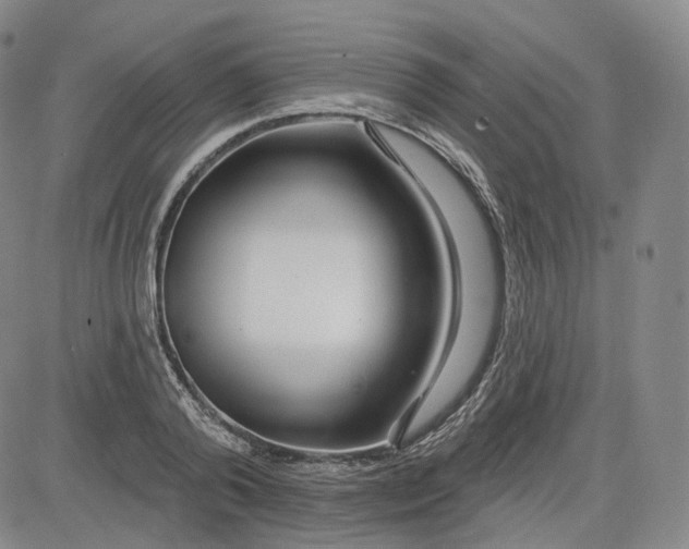 X0000083610792200702260926