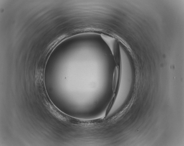 X0000083610793200702260926