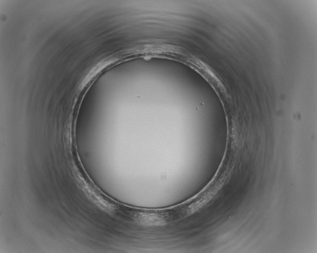 X0000083610794200702260926