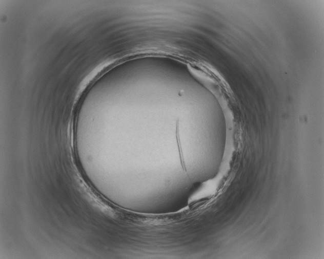 X0000083610796200702260926