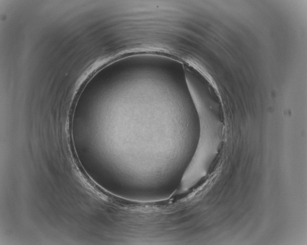 X0000083610797200702260926