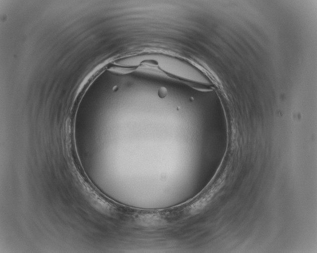 X0000083610798200702260926