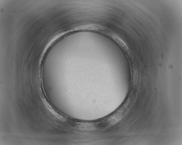 X0000083610800200702260926