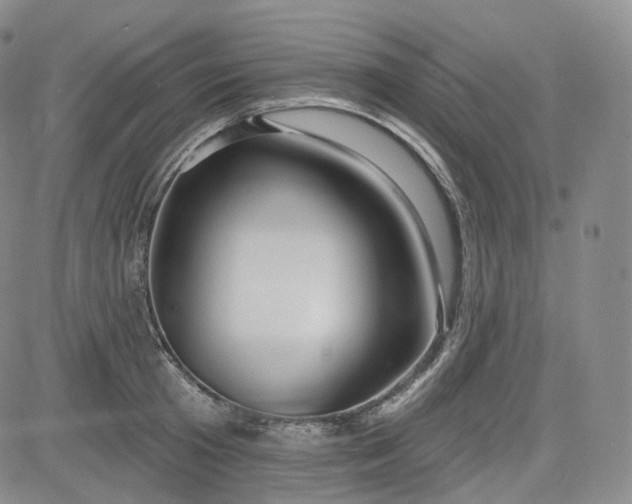 X0000083610801200702260926