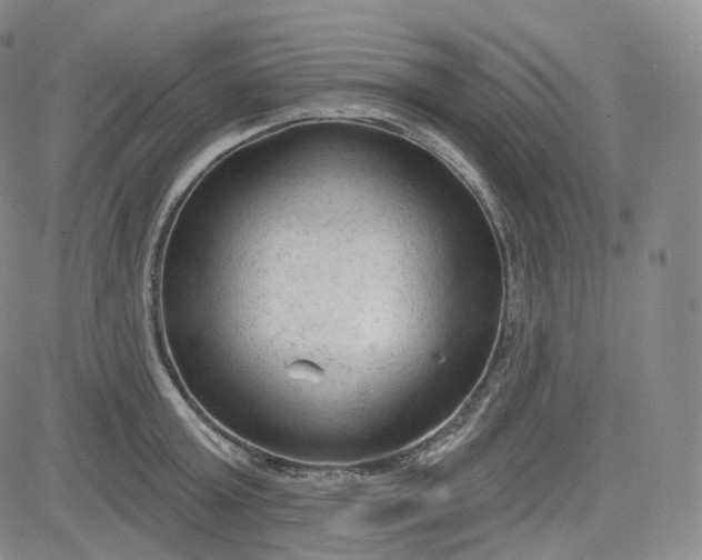 X0000083610803200702260926