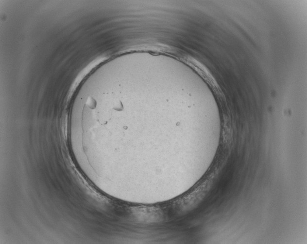 X0000083610804200702260926