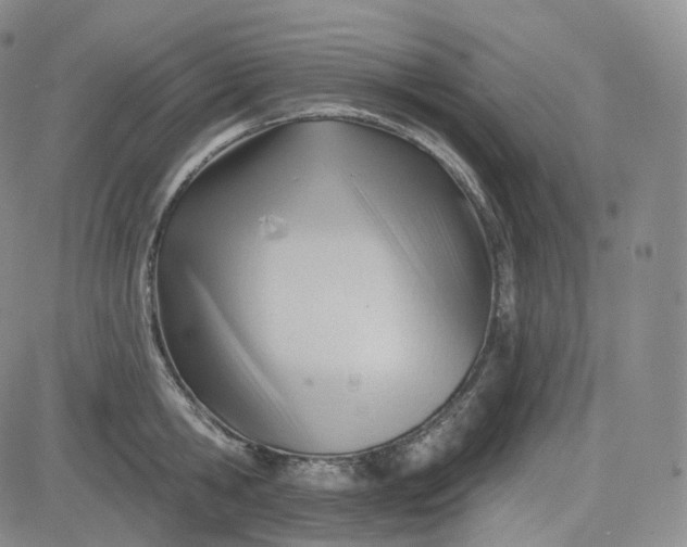 X0000083610806200702260926