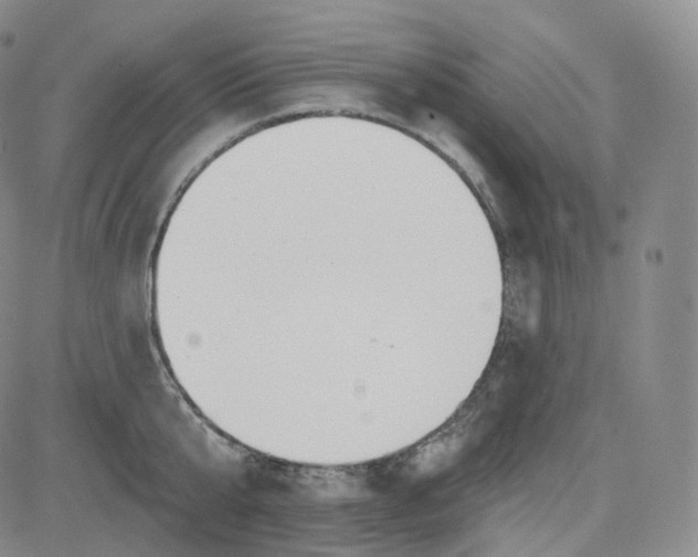 X0000083610807200702260926