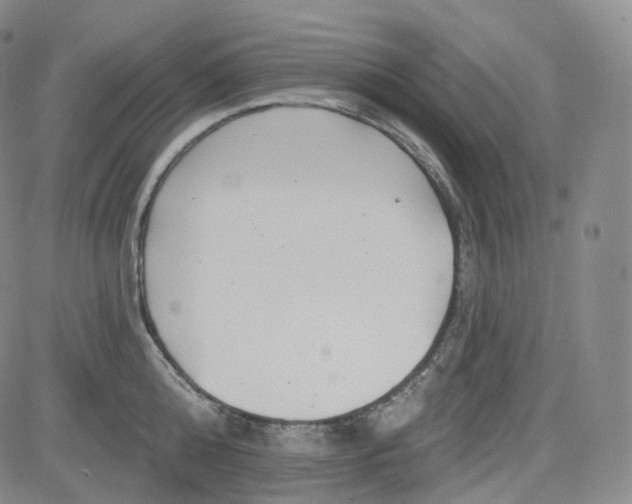 X0000083610808200702260926