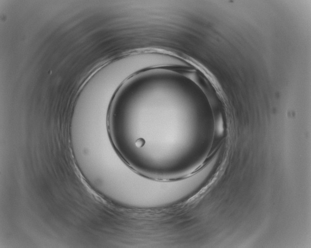 X0000083610809200702260926