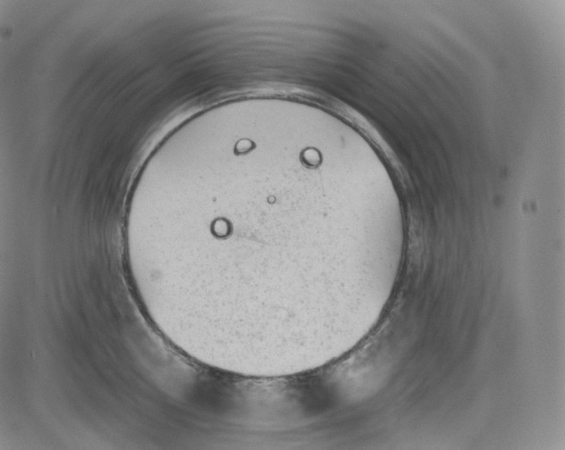 X0000083610810200702260926