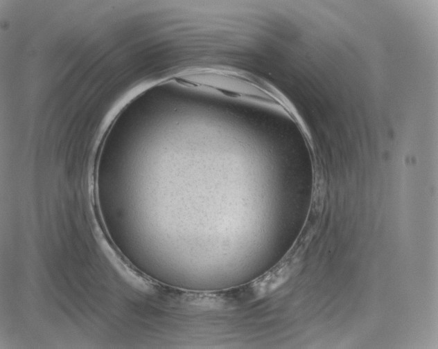 X0000083610811200702260926