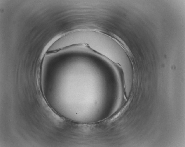 X0000083610812200702260926