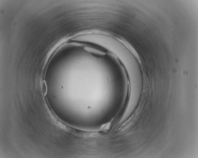 X0000083610813200702260926