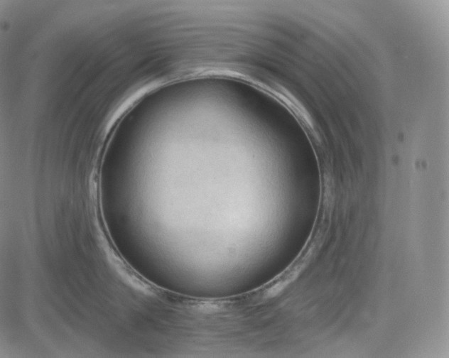 X0000083610814200702260926