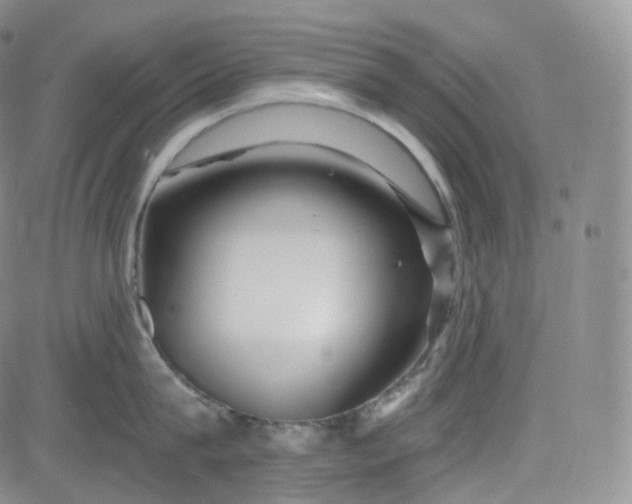 X0000083610815200702260926