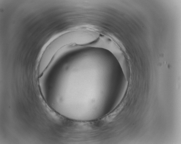 X0000083610816200702260926