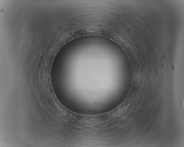 X0000083610817200702260925