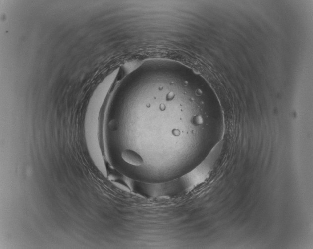 X0000083610818200702260925