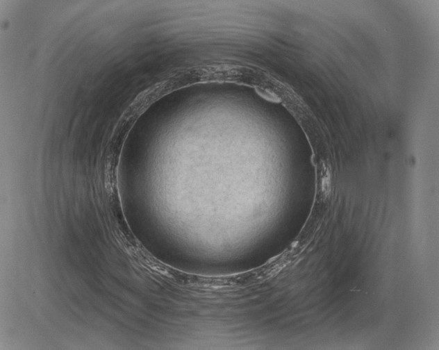 X0000083610819200702260925